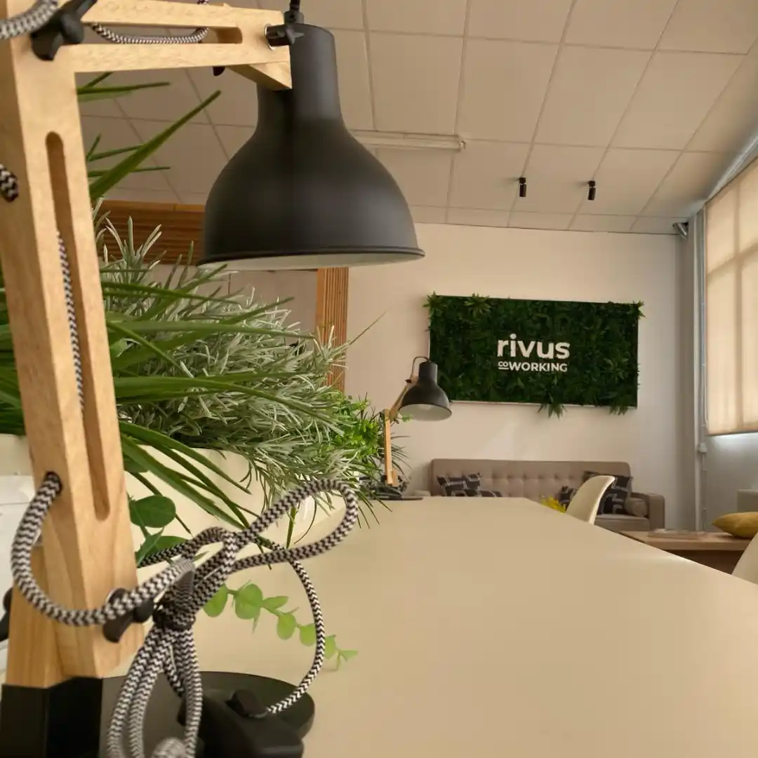 Espacio de trabajo en el Coworking Rivus, con mesas y lámparas de escritorio, rodeado de plantas decorativas.