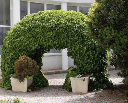 Arco de plantas decorativo en el CEEI Teruel, creando un ambiente verde.