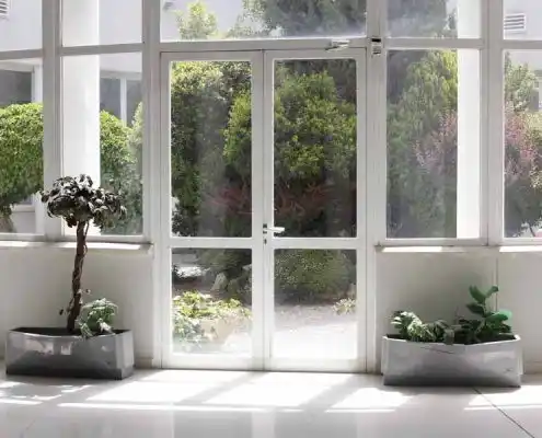 Vista del jardín desde la ventana del CEEI Teruel, con plantas ornamentales.