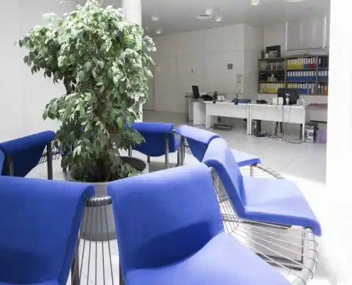 Área de descanso con sillas azules y plantas en el CEEI Teruel.