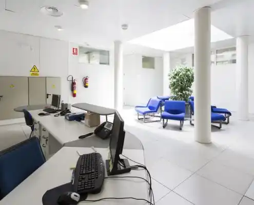 Oficina con escritorios, sillas azules y planta en el CEEI Teruel.