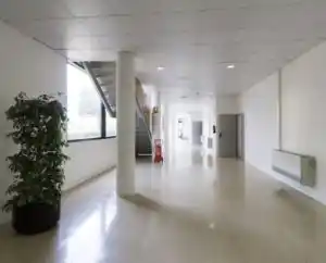 Pasillo del Centro Huesca con iluminación natural, plantas y escaleras, ofreciendo un ambiente agradable y bien distribuido.