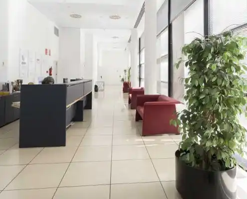 Sala de recepción con sillas rojas y plantas en el Centro Huesca.