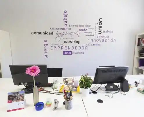 Oficina en el Centro Barbastro con escritorio, planta, flor y elementos decorativos.