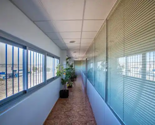 Pasillo luminoso con plantas decorativas y ventanas de oficina en el centro de emprendedores de Calatayud.