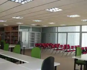 Oficina vacía con mesas y sillas verdes, libros en estanterías, vista al exterior con muchas ventanas.