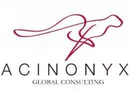 Logo de ACINONYX, empresa de consultoría y asesoramiento en internacionalización y comercio exterior.